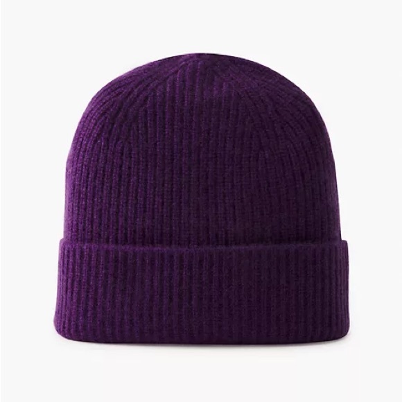 Aritzia Accessories - Aritzia Babaton Cashmere Hat